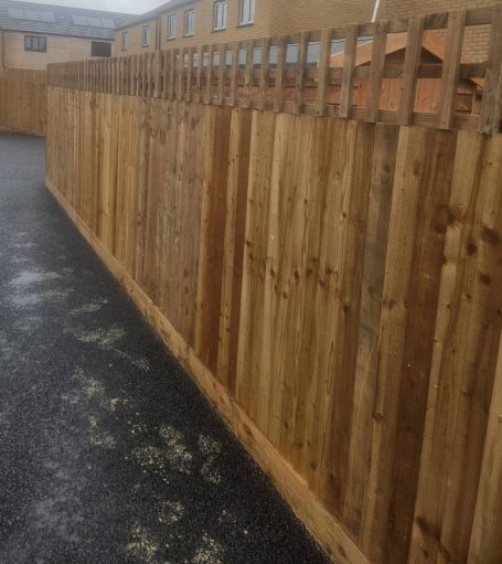 Featheredge Fencing topped with Trellis